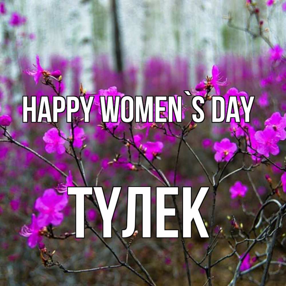 Greetings card с именем, ТҮЛЕК happy women`s day дикие цветы Greetings with text for free download 